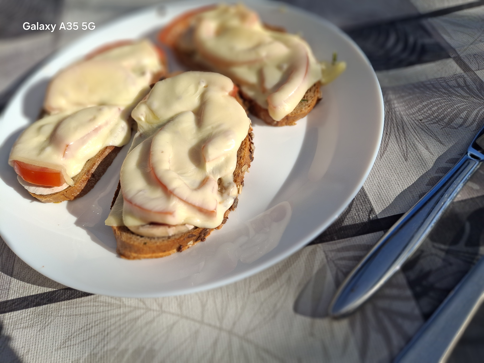 Überbackene Brote mit Tomaten und Käse auf einem weißen Teller im warmen Sonnenlicht – ein einfaches Frühstück oder eine kleine Mahlzeit.