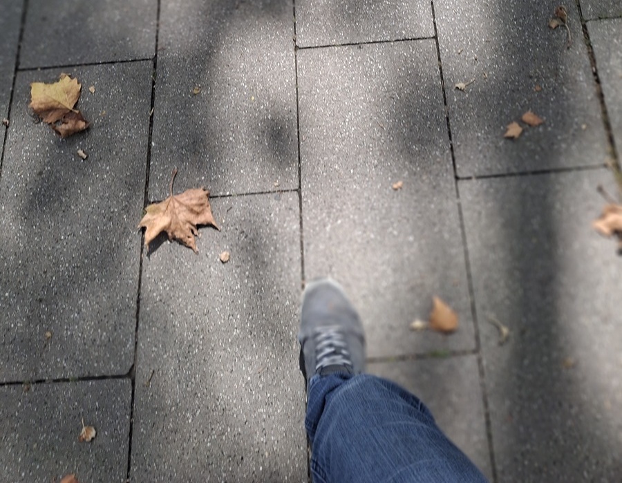 Ein Schritt auf einem gepflasterten Weg im Wechsel von Licht und Schatten.