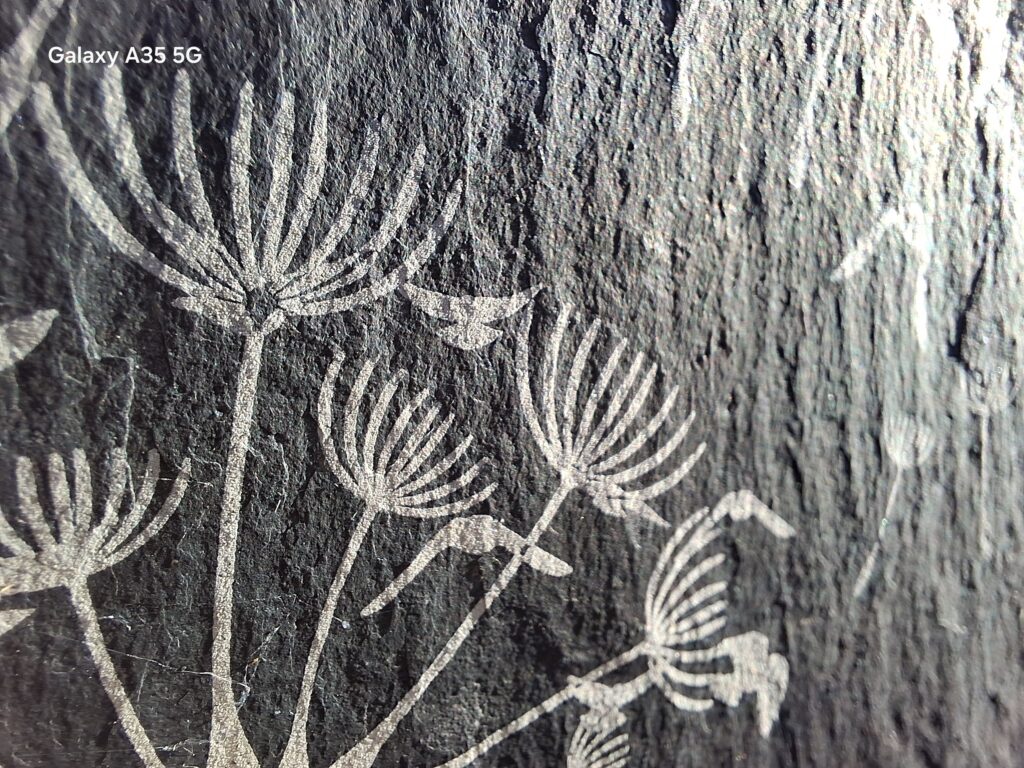 Weiße Silhouetten von filigranen Doldenblüten heben sich auf einer dunkelgrauen, schieferartigen Oberfläche mit natürlicher Steinstruktur ab.