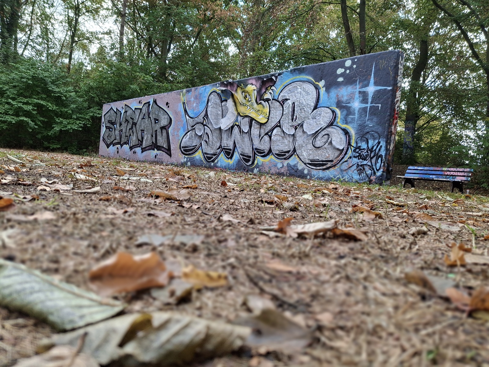 Graffitiwand in der Bonner Rheinaue mit großflächigen silbernen und farbigen Schriftzügen, fotografiert aus niedriger Perspektive.