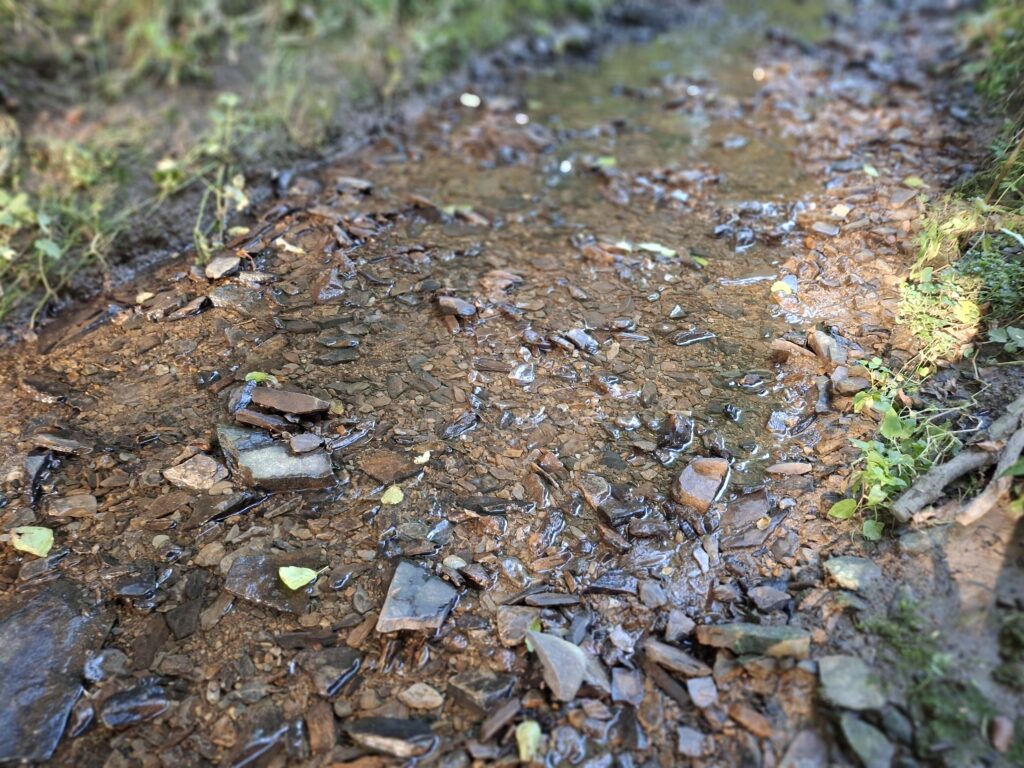 Ein steiniges Bachbett mit flachem Wasserlauf. Durch das Blätterdach entstehen natürliche Licht und Schatteneffekte.